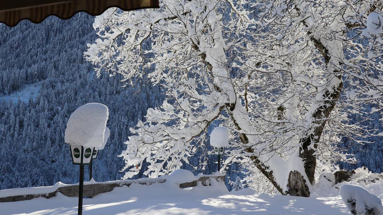 Gasthof Lamprechtbauer Kotschach-Mauthen Exterior foto